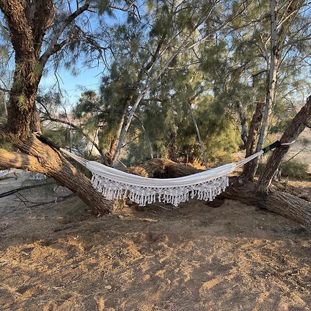 Casa Agave: Comfy Joshua Tree Cottage With Free Breakfast Bar Esterno foto
