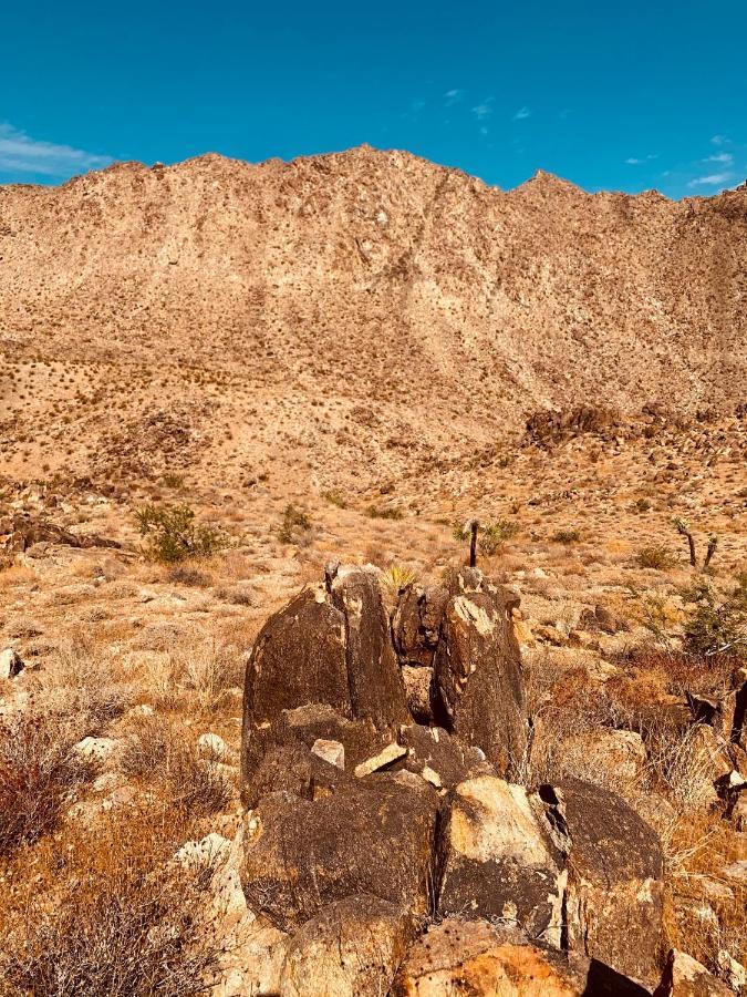 Casa Agave: Comfy Joshua Tree Cottage With Free Breakfast Bar Esterno foto
