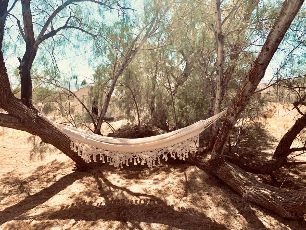 Casa Agave: Comfy Joshua Tree Cottage With Free Breakfast Bar Esterno foto