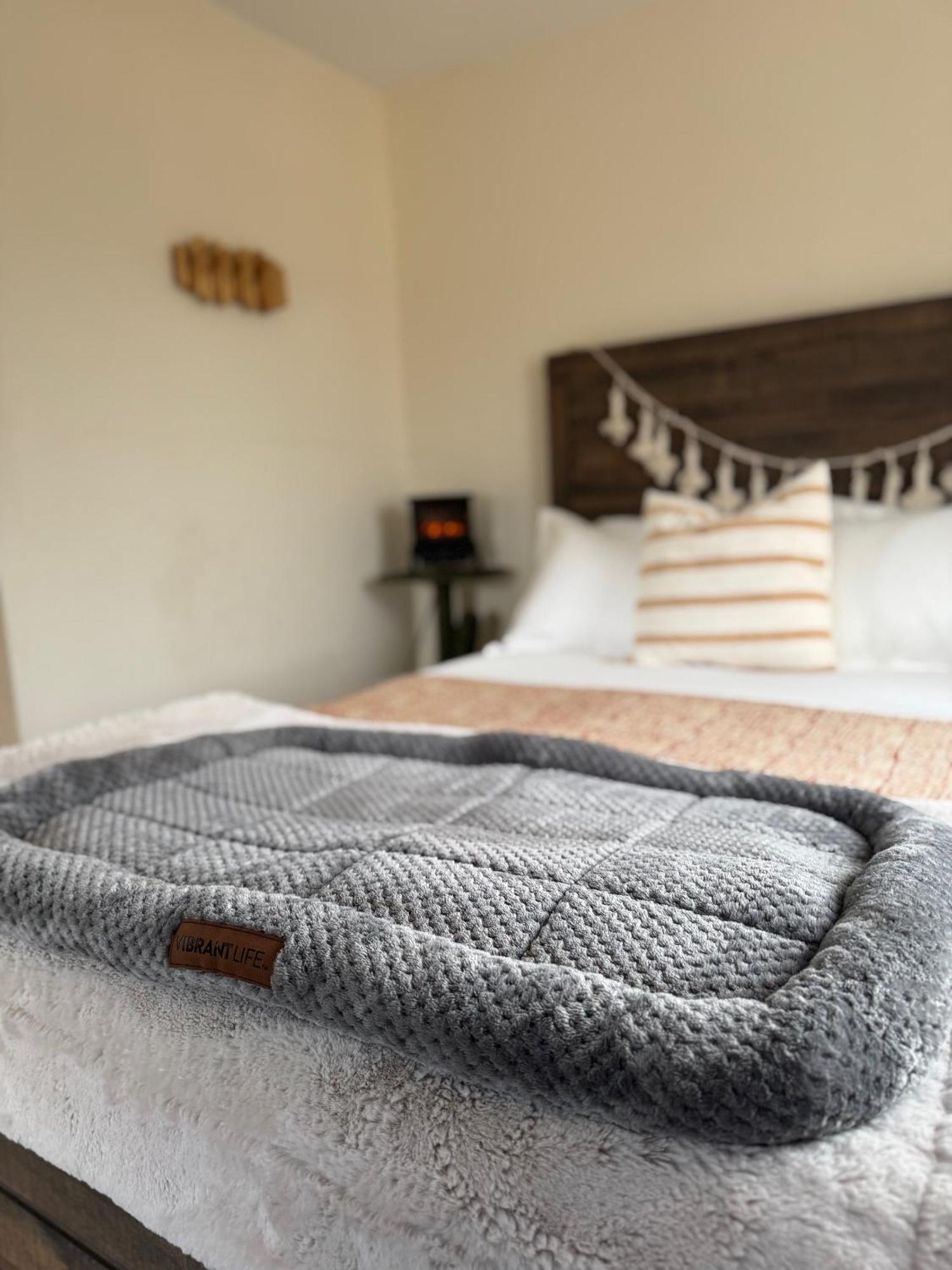 Casa Agave: Comfy Joshua Tree Cottage With Free Breakfast Bar Esterno foto