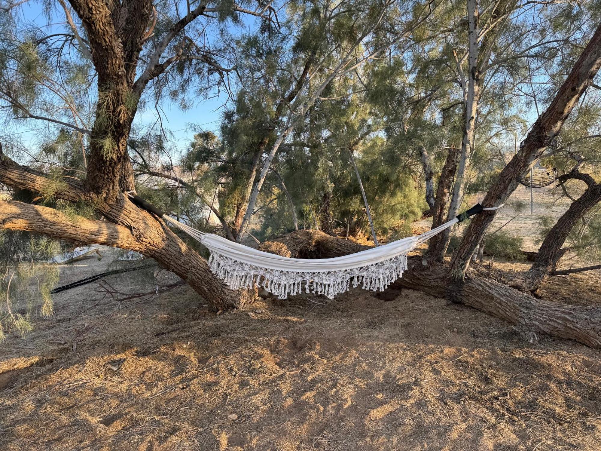 Casa Agave: Comfy Joshua Tree Cottage With Free Breakfast Bar Esterno foto